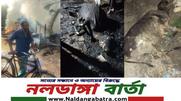 নাটোরের নলডাঙ্গা উপজেলার বিপ্রবেলঘড়িয়া ইউনিয়নের কৃষ্ণপুর দিঘা গ্রামের মৃত ইয়াকুব সিকদার এর ছেলে মোঃ সোহরাব সিকদার @ছুরু'র(৬৫) বাড়িতে আগুন লেগে দুটি ঘর সহ দুটি গরু পুড়ে মারা যায়।