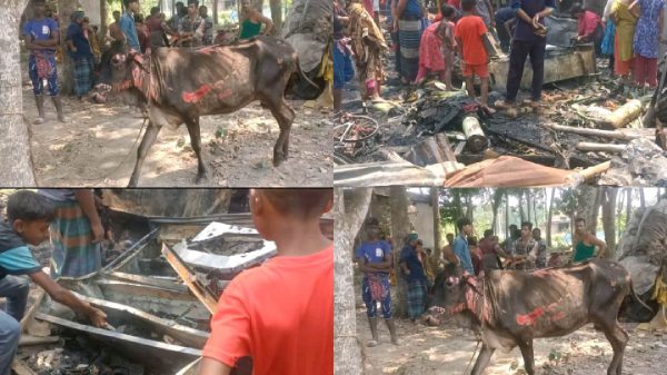 নড়াইলের লোহাগড়া উপজেলার শামুকখোলা গ্রামে ভয়াবহ অগ্নিকাণ্ডের ঘটনা ঘটেছে। আগুনে ৬টি পরিবারের মোট ছোট-বড় ১০ টি ঘর পুড়ে ছাই হয়ে গেছে। এতে করে, প্রায় ২০ লক্ষ টাকার ক্ষতি হয়েছে বলে জানা যায়।