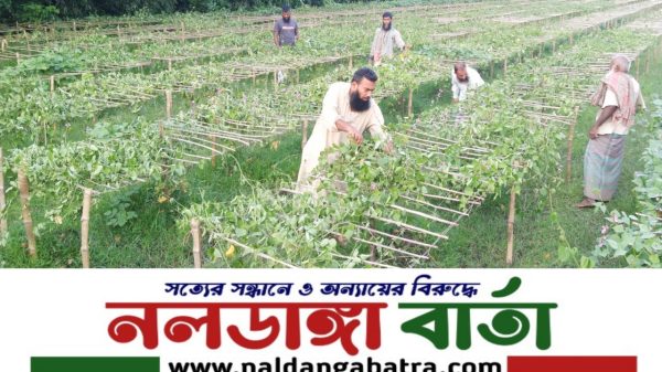 পূর্বশত্রুতার জেরে পাবনার আটঘরিয়ার চাঁদভায় একাধিকার জমির ফসল নষ্ট করার অভিযোগ উঠেছে স্থানীয় মেম্বার আমিরুল  বিরুদ্ধে। প্রকাশ্য দিবালোকে মসুর ক্ষেত ও মেহগনি গাছ কাটার পর এবার কয়েক বিঘা জমির শিম গাছ কাটার অভিযোগ উঠছে তার বিরুদ্ধে। এ বিষয়ে বার অভিযোগ দিয়েও প্রতিকার পাচ্ছে না ভুক্তভোগীরা।