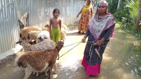 নওগাঁর আত্রাইয়ে গত কয়েক দিনের বৃষ্টি ও উজান থেকে নেমে আসা ঢলে আত্রাই নদীর পানি হু হু করে বৃদ্ধি পাওয়ায় নদী তীরের ২০ গ্রামের হাজার হাজার মানুষ পানিবন্দি হয়ে পড়েছেন। আত্রাই উপজেলার জগদাশ ও শিকারপুর এলাকার দুই স্থানে এবং উপজেলার বিভিন্ন স্থানে বন্যা নিয়ন্ত্রণ বাঁধে ফাটল দেখা দিয়েছে। এ বাঁধ রক্ষায় এলাকাবাসী প্রাণপ চেষ্টা চালিয়ে যাচ্ছেন।