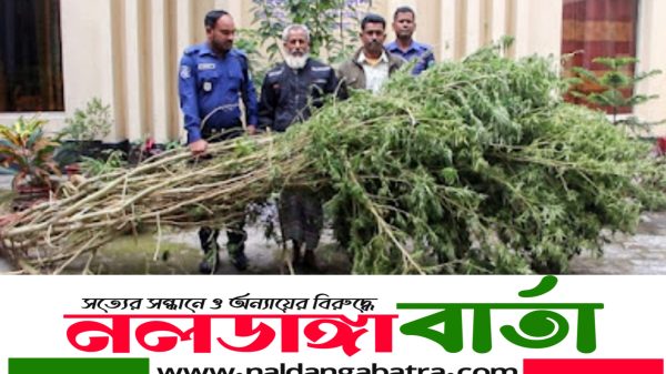 পাবনা সদর উপজেলার চর বলরামপুরে অভিযান চালিয়ে ৪টি গাঁজার গাছসহ দুই ব্যক্তিকে আটক করেছে পুলিশ। সোমবার ভোররাতে তাদের আটক করা হয়। পাবনা সদর থানার ভারপ্রাপ্ত কর্মকর্তা রওশন আলী বলেন, গোপন সংবাদের ভিত্তিতে ভোররাতে পাবনা সদর উপজেলার চর বলরামপুর মালিথাপাড়া গ্রামে অভিযান চালায় পুলিশ। 