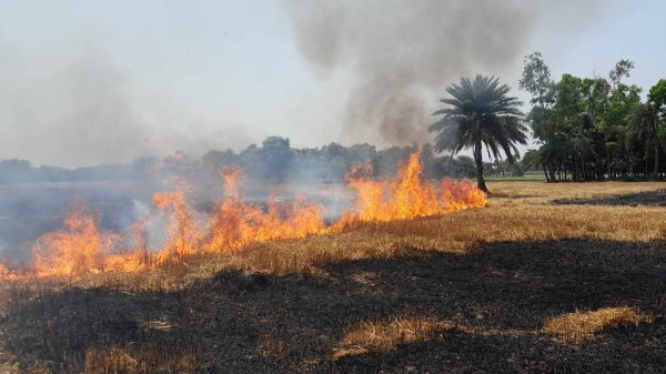 নাটোরের লালপুরে উপজেলায় নাড়া পুড়াতে মাঠে পুড়াতে গিয়ে অগ্নিকাণ্ডে আনুমানিক ১৫ বিঘা জমির পাকা গম ও রসুন পুড়ে ছাই। এতে ক্ষতিগ্রস্ত হয়েছেন ১৫/২০ জন কৃষক। এক কৃষকের অসর্তকতায় এই ভয়াবহ অগ্নিকাণ্ডের ঘটনা ঘটে।