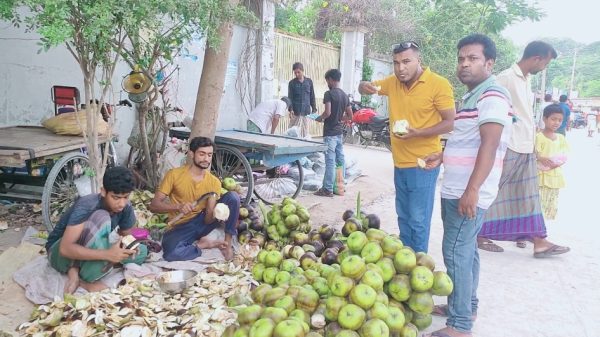 নাটোরের নলডাঙ্গায় জমে উঠেছে মৌসুমী ফল তালের শাঁস বিক্রির ধুম। উপজেলার বিভিন্ন হাট-বাজার, বিভিন্ন রাস্তায়, সরকারি কলেজ গেইট ও বিভিন্ন মোড়ে প্রতিদিন কাঁচা তাল নিয়ে বসেছেন ভ্রাম্যমাণ ব্যবসায়ীরা। কিশোর থেকে শুরু করে বৃদ্ধরাও মৌসুমী ফল তাল বিক্রিতে মেতে উঠে আর ক্রেতারা পায় নতুন স্বাদ।