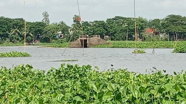 ব্রাহ্মণবাড়িয়ার নবীনগর উপজেলার ইব্রাহিমপুর ইউপির ১ নং ওয়ার্ডের শালকান্দি-কাজিমাবাদ গ্রামে যাওয়ার পথে ব্রীজ করা হয়েছে প্রায় ২৩ বছর আগে অথচ বর্ষাকালে নৌকা দিয়ে চলাচল করতে হচ্ছে স্থানিয়দের। নবীনগর পৌর এলাকার ভোলাচং গ্রাম হয়ে শালকান্দি-কাজিমাবাদ গ্রামে যেতে হয়। সাপ্তাহিক তিতাসের খবরের ইউপি প্রতিনিধি সরেজমিনে গেলে দীর্ঘ দিনের ক্ষোভ জানিয়েছেন স্থানিয়রা। শালকান্দি-কাজিমাবাদ গ্রামের আব্দুর রহমান জানান, ব্রীজ আছে রাস্তা নাই! বর্ষাকালে নৌকা ছাড়া উপায় নাই। নাসিমা বেগম বলেন,সুদিনে হাক্কা দিয়া, বিরিজের তলা দিয়া যাই।